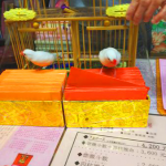 台北の龍山寺の占い横丁で鳥卦(鳥占い)を日本語でする方法