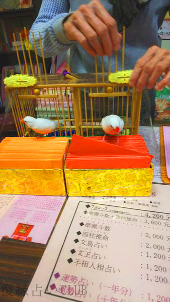 台北の龍山寺の占い横丁で鳥卦(鳥占い)を日本語でする方法
