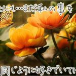 【無料タロット占い】元彼はまだ私に未練がある?