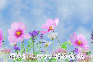 【即効性あり】復縁に効果がある花言葉はこれ