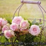 【無料タロット占い】沈黙をしたら復縁は成功するのか?