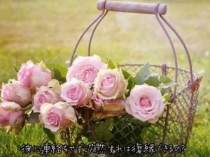 【無料タロット占い】沈黙をしたら復縁は成功するのか？