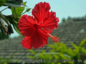 沖縄で復縁占いが当たると評判の占い師とユタは？