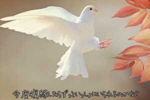 【無料タロット】今度復縁したら長く付き合うことができるか？