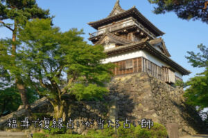 【現役占い師推薦】福井で復縁占いが当たる占い師