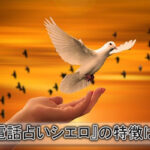 『電話占いシエロ』の初回無料鑑定は嘘？お金は本当に全く発生しない？