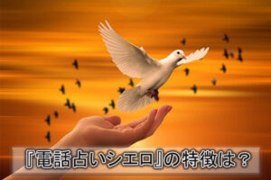 『電話占いシエロ』の初回無料鑑定は嘘？お金は本当に全く発生しない？