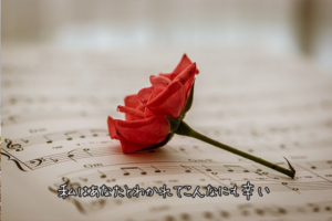 【無料タロット占い】別れた既婚者の元彼が言っていない本音は？