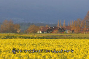 【無料タロット占い】私を振った元彼の気持ちはどうなっているの？
