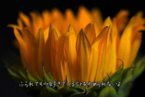 当時２７歳だった私が結婚を考えていた３歳年上の彼氏に別れを切り出されてから、３ヶ月と少しの期間で元の関係に戻った体験談